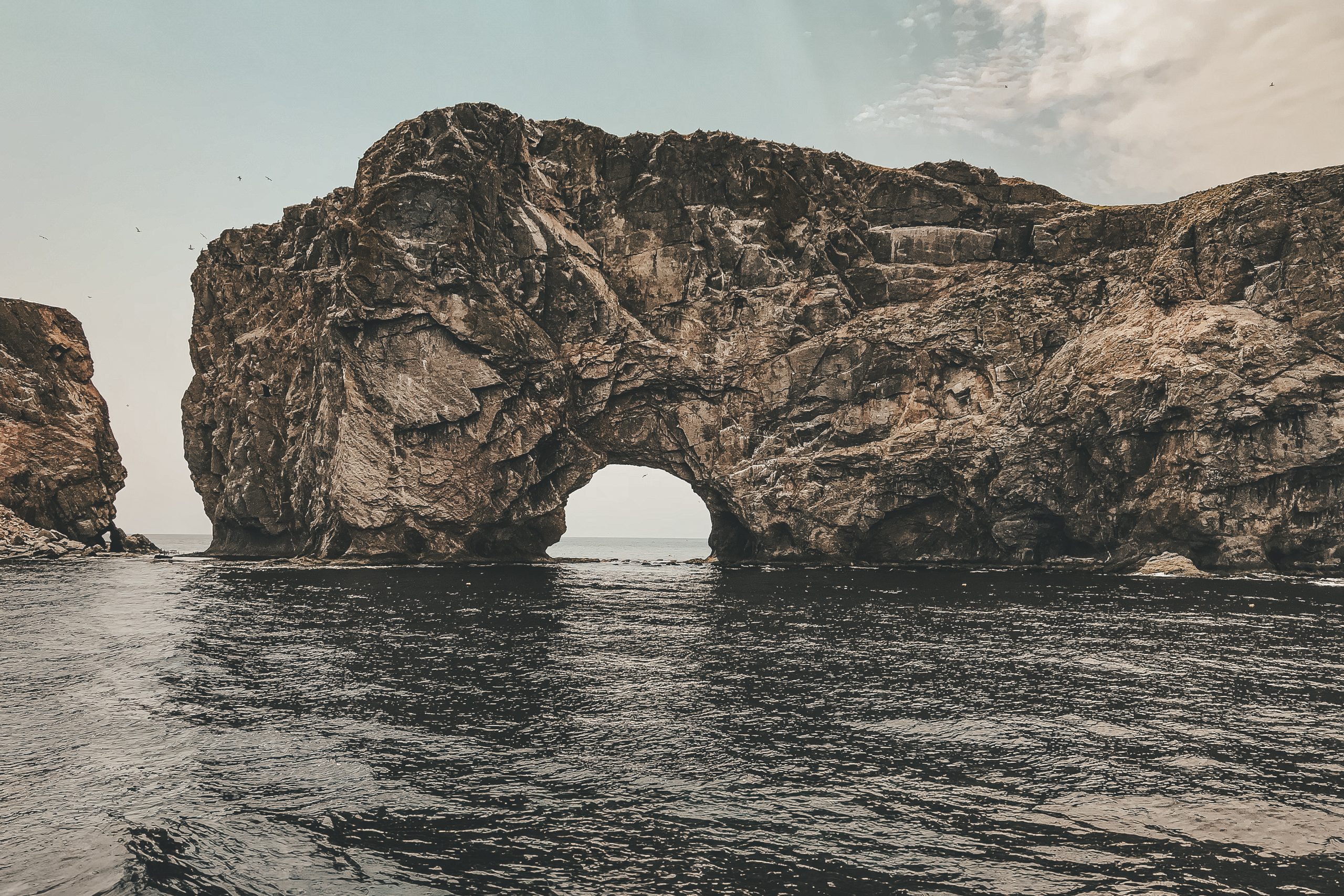 Where the Highway Meets the Sea: A Gaspésie–Percé Roadtrip