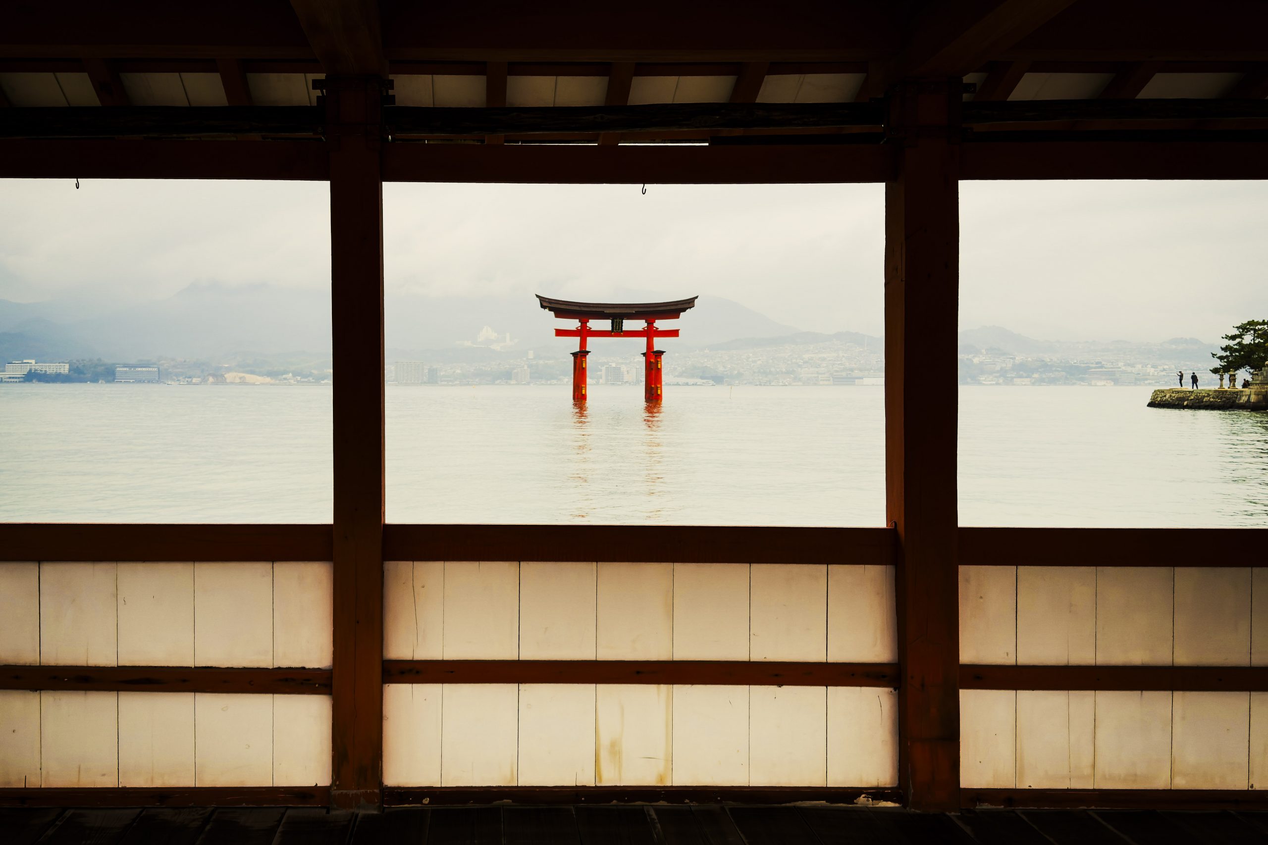 Miyajima’s Magic: Floating Torii, Friendly Deer, and Island Dreams